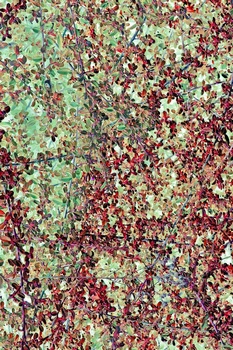 N 191A